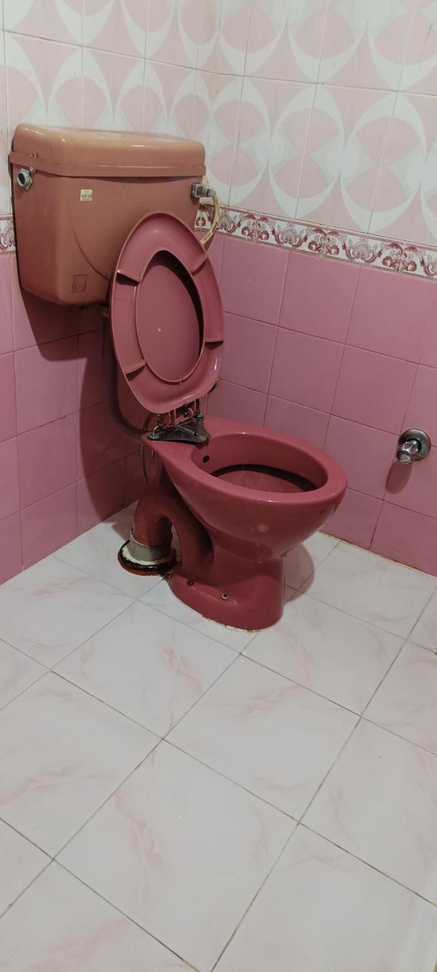 Hotel Hari Ganga - Harkipauri Road Haridwar Bagian luar foto
